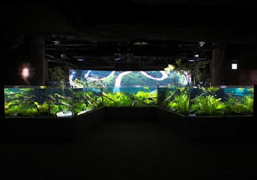 カワスイ 川崎⽔族館に投稿された画像（2023/9/10）