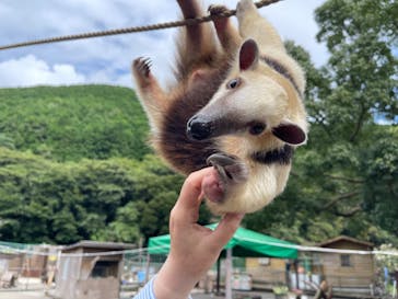 伊豆アニマルキングダムに投稿された画像（2023/9/10）