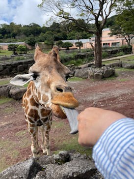 伊豆アニマルキングダムに投稿された画像（2023/9/10）