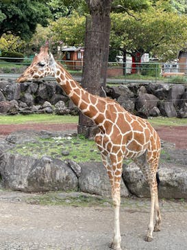 伊豆アニマルキングダムに投稿された画像（2023/9/10）