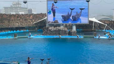 名古屋港水族館に投稿された画像（2023/9/10）