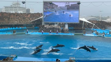名古屋港水族館に投稿された画像（2023/9/10）