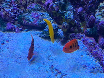 サンシャイン水族館に投稿された画像（2023/9/10）