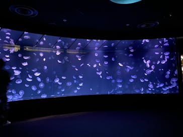 サンシャイン水族館に投稿された画像（2023/9/10）