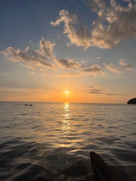 沖縄海うさぎ・海あしびに投稿された画像（2023/9/10）