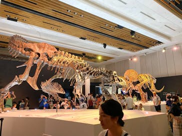 DinoScience 恐竜科学博 2023@TOKYO MIDTOWNに投稿された画像（2023/9/10）