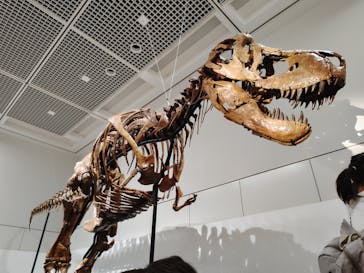 大阪市立自然史博物館に投稿された画像（2023/9/10）