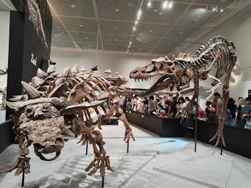 大阪市立自然史博物館に投稿された画像（2023/9/10）