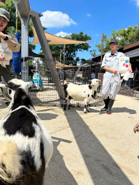 天王寺動物園に投稿された画像（2023/9/10）