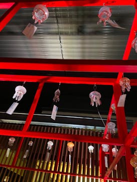 京都水族館×ニデック京都タワーに投稿された画像（2023/9/10）