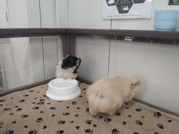 成田ゆめ牧場に投稿された画像（2023/9/10）