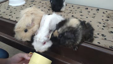 成田ゆめ牧場に投稿された画像（2023/9/10）