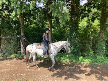 HORSE BASE（ホース ベース）に投稿された画像（2023/9/10）