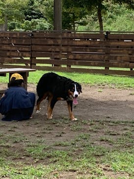 わんダフルネイチャーヴィレッジに投稿された画像（2023/9/10）