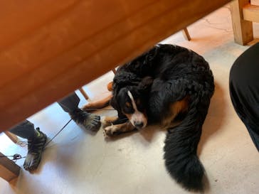 わんダフルネイチャーヴィレッジに投稿された画像（2023/9/10）