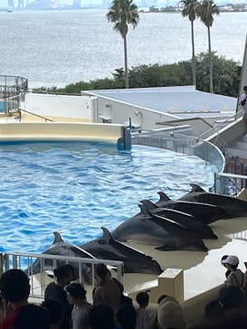 マリンワールド海の中道に投稿された画像（2023/9/10）