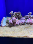 サンシャイン水族館に投稿された画像（2023/9/11）