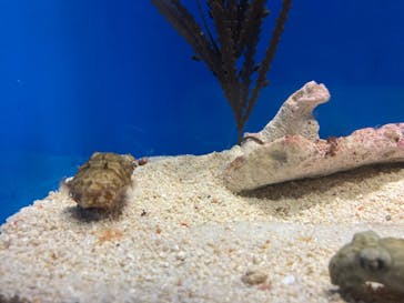 サンシャイン水族館に投稿された画像（2023/9/10）