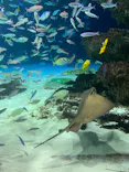 サンシャイン水族館に投稿された画像（2023/9/11）