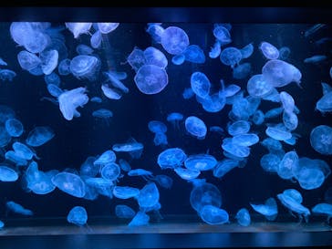 AOAO SAPPOROに投稿された画像（2023/9/10）