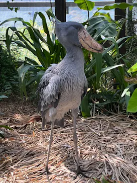 神戸どうぶつ王国に投稿された画像（2023/9/10）