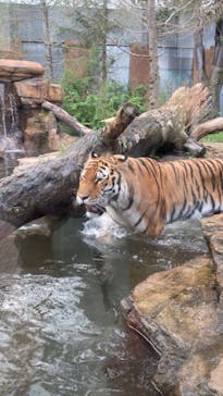 那須どうぶつ王国に投稿された画像（2023/9/10）