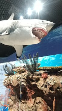 特別展「海　―生命のみなもと―」（国立科学博物館）に投稿された画像（2023/9/10）