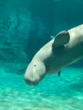 名古屋港水族館に投稿された画像（2023/8/10）