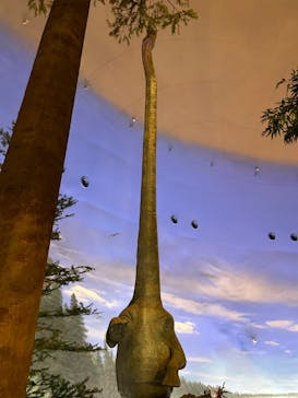 福井県立恐竜博物館に投稿された画像（2023/9/11）