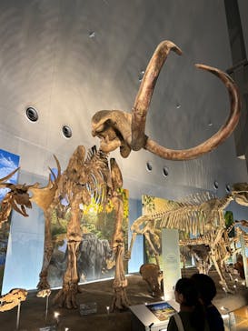 福井県立恐竜博物館に投稿された画像（2023/9/11）