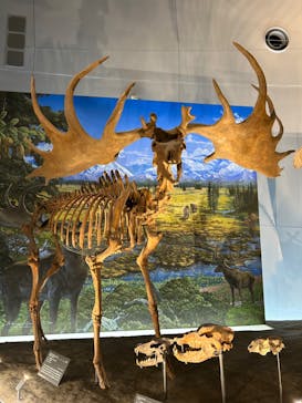 福井県立恐竜博物館に投稿された画像（2023/9/11）