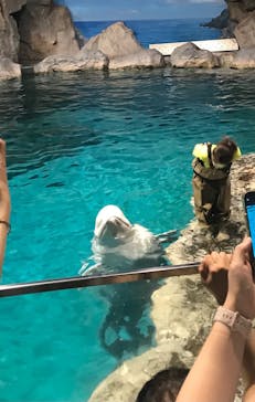 名古屋港水族館に投稿された画像（2023/9/11）