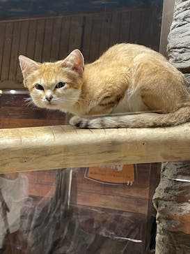 那須どうぶつ王国に投稿された画像（2023/9/11）