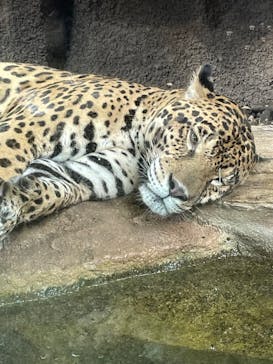 那須どうぶつ王国に投稿された画像（2023/9/11）