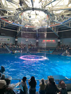 マクセル アクアパーク品川に投稿された画像（2023/9/11）