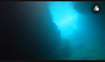 武藤潜水に投稿された画像（2023/9/11）