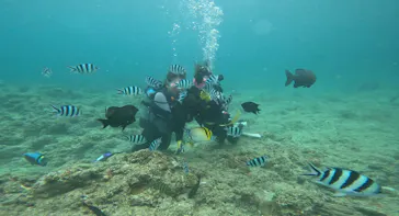 武藤潜水に投稿された画像（2023/9/11）