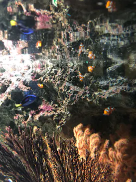 マクセル アクアパーク品川に投稿された画像（2023/9/11）