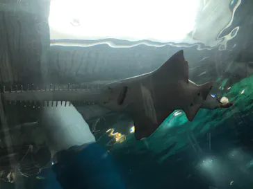 マクセル アクアパーク品川に投稿された画像（2023/9/11）