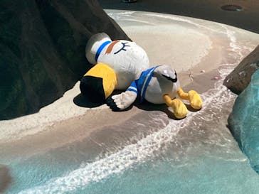 上越市立水族博物館 うみがたりに投稿された画像（2023/9/11）