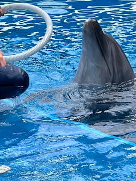 上越市立水族博物館 うみがたりに投稿された画像（2023/9/11）