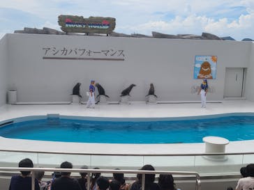 鴨川シーワールドに投稿された画像（2023/9/11）