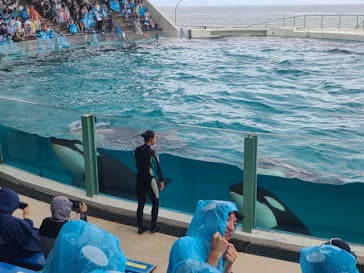 鴨川シーワールドに投稿された画像（2023/9/11）