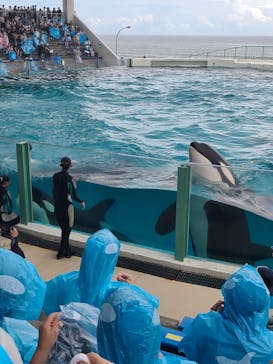 鴨川シーワールドに投稿された画像（2023/9/11）
