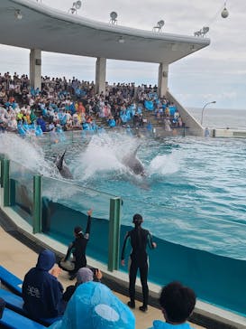 鴨川シーワールドに投稿された画像（2023/9/11）