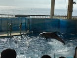 新江ノ島水族館に投稿された画像（2023/9/11）
