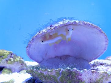 沖縄美ら海水族館に投稿された画像（2023/9/11）