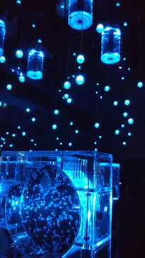 マクセル アクアパーク品川に投稿された画像（2023/9/11）