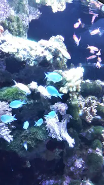 マクセル アクアパーク品川に投稿された画像（2023/9/11）