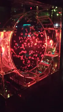 マクセル アクアパーク品川に投稿された画像（2023/9/11）